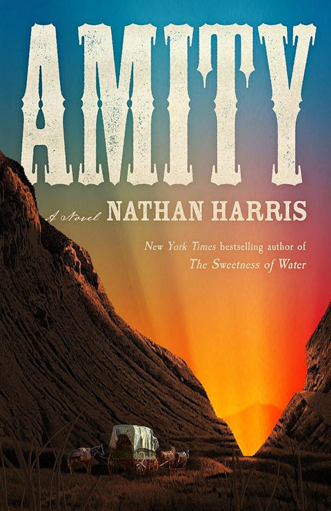 AMITY: from the Booker-longlisted author of The Sweetness of Water cover image
