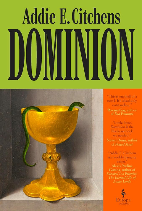 Dominion: A Novel cover image