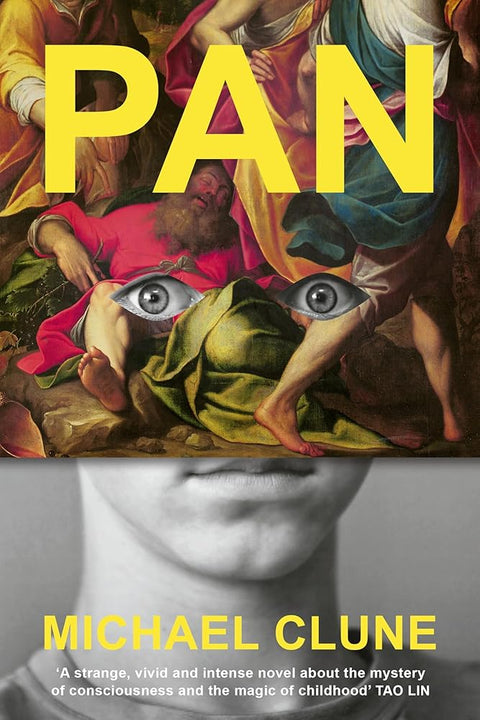 Pan cover image