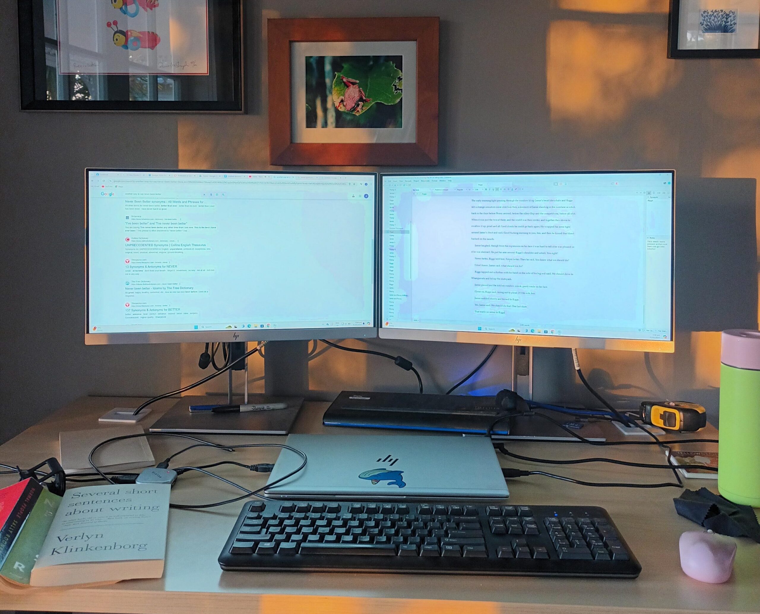 Author josie shapiros at home writing desk